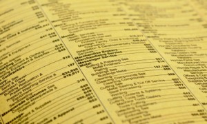 The Mount Airy Phone Book